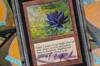 Una nueva Black Lotus firmada puede ser la carta ms cara de la historia de Magic y su subasta levanta expectacin