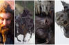 Jed Brophy: El actor que sale en 'El Seor de los Anillos', 'El Hobbit' y 'Los anillos de poder'