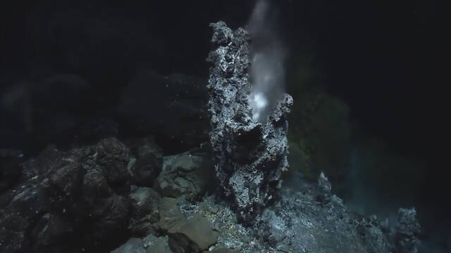 Cientficos desconcertados por su biologa sin boca ni estmago: as es el gusano gigante de tubo que alcanza casi 3 metros