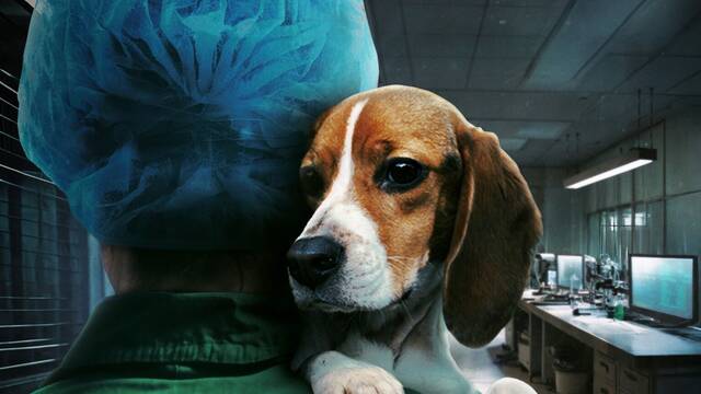 Fecha confirmada: llega en streaming el documental que destapa el maltrato animal en laboratorios